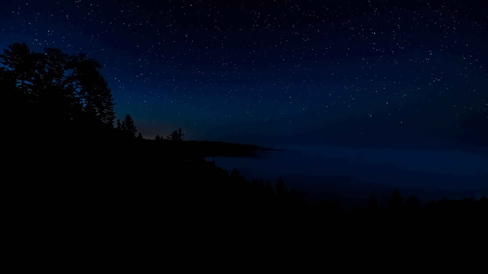 night