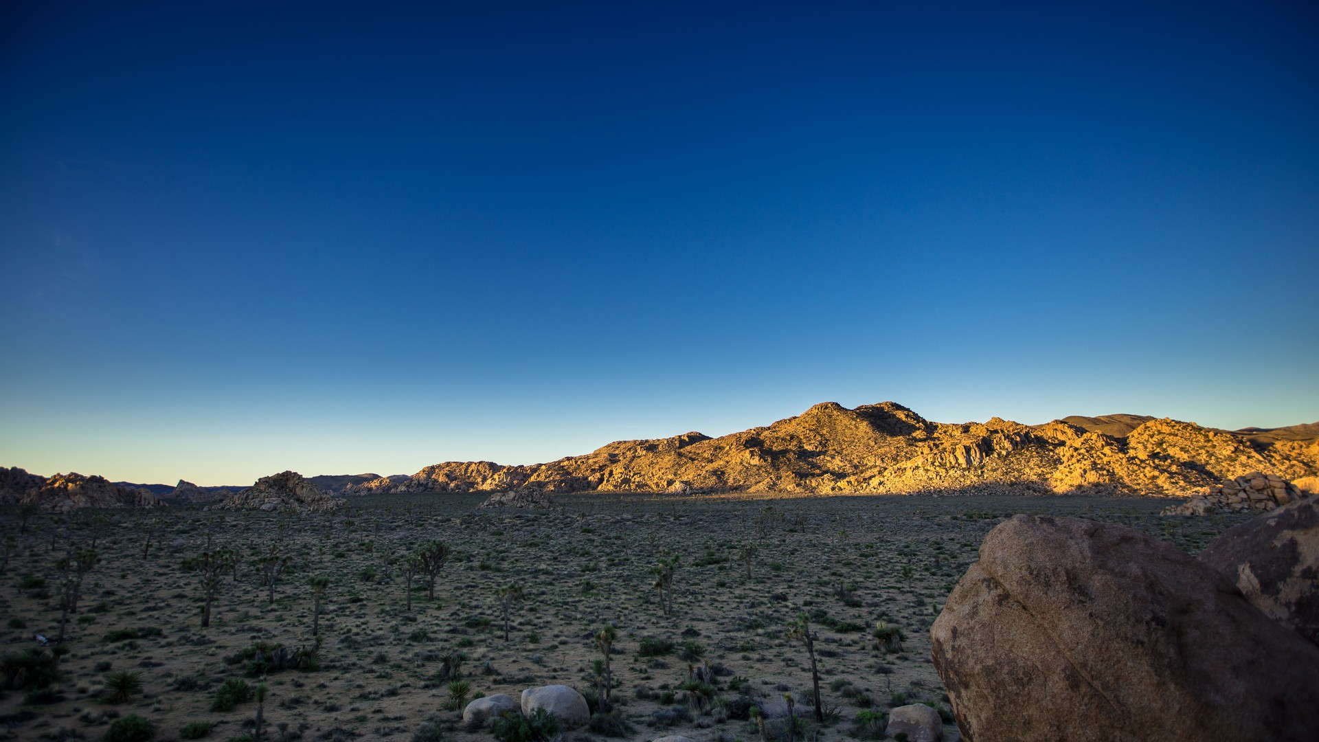 sunrise