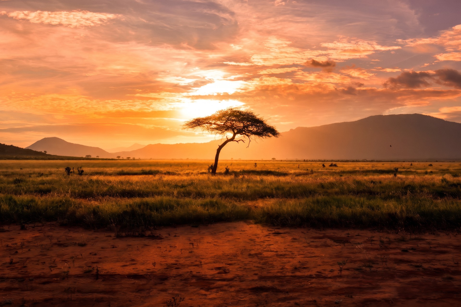 sunset