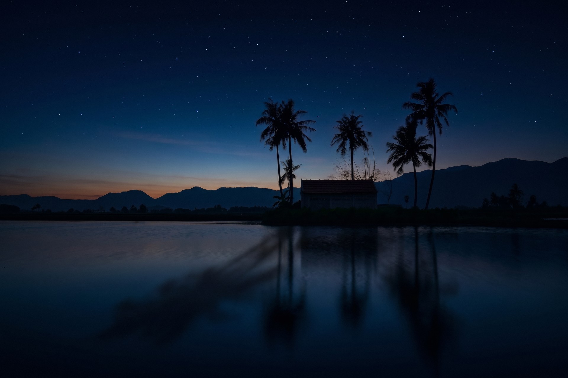 night