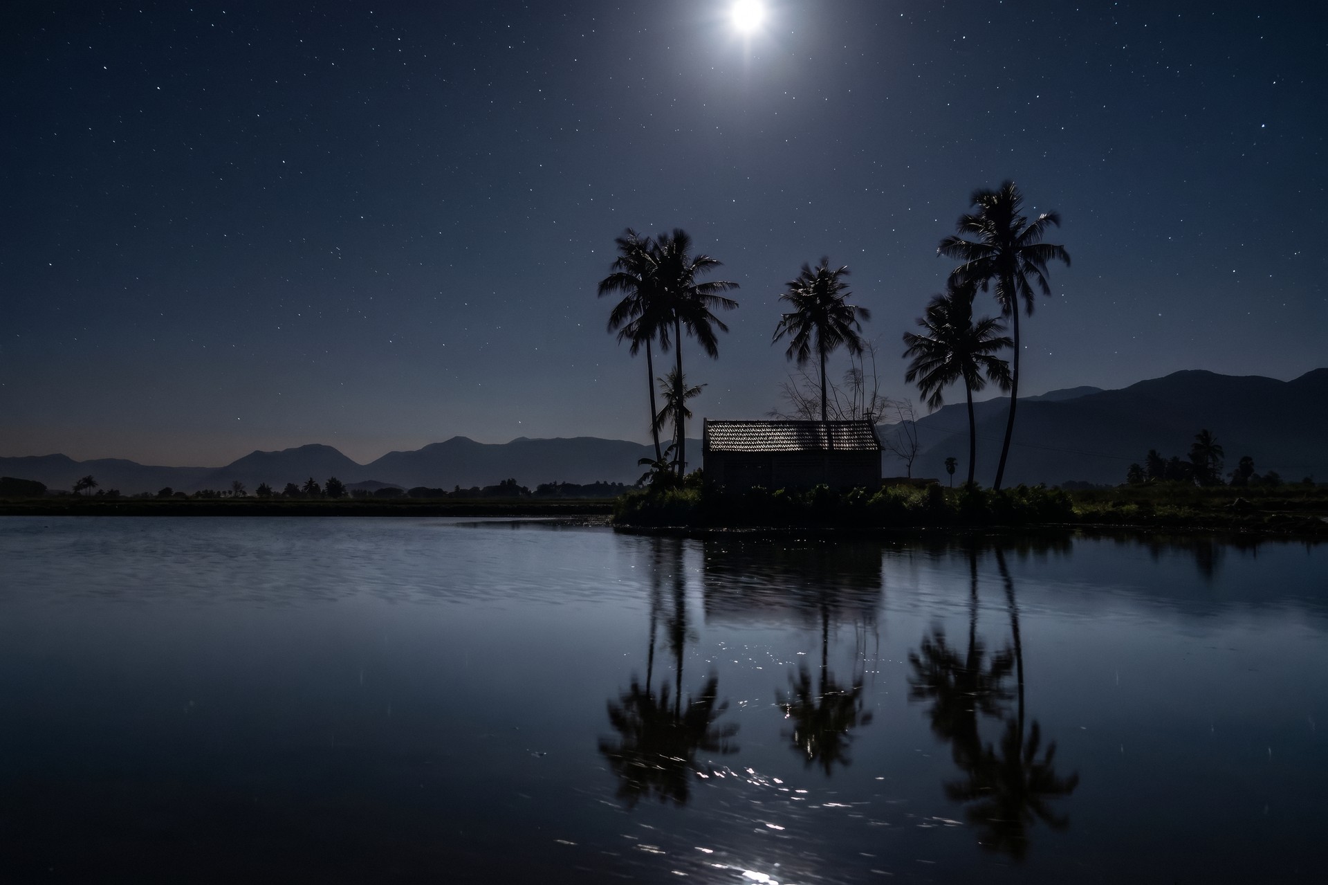 night