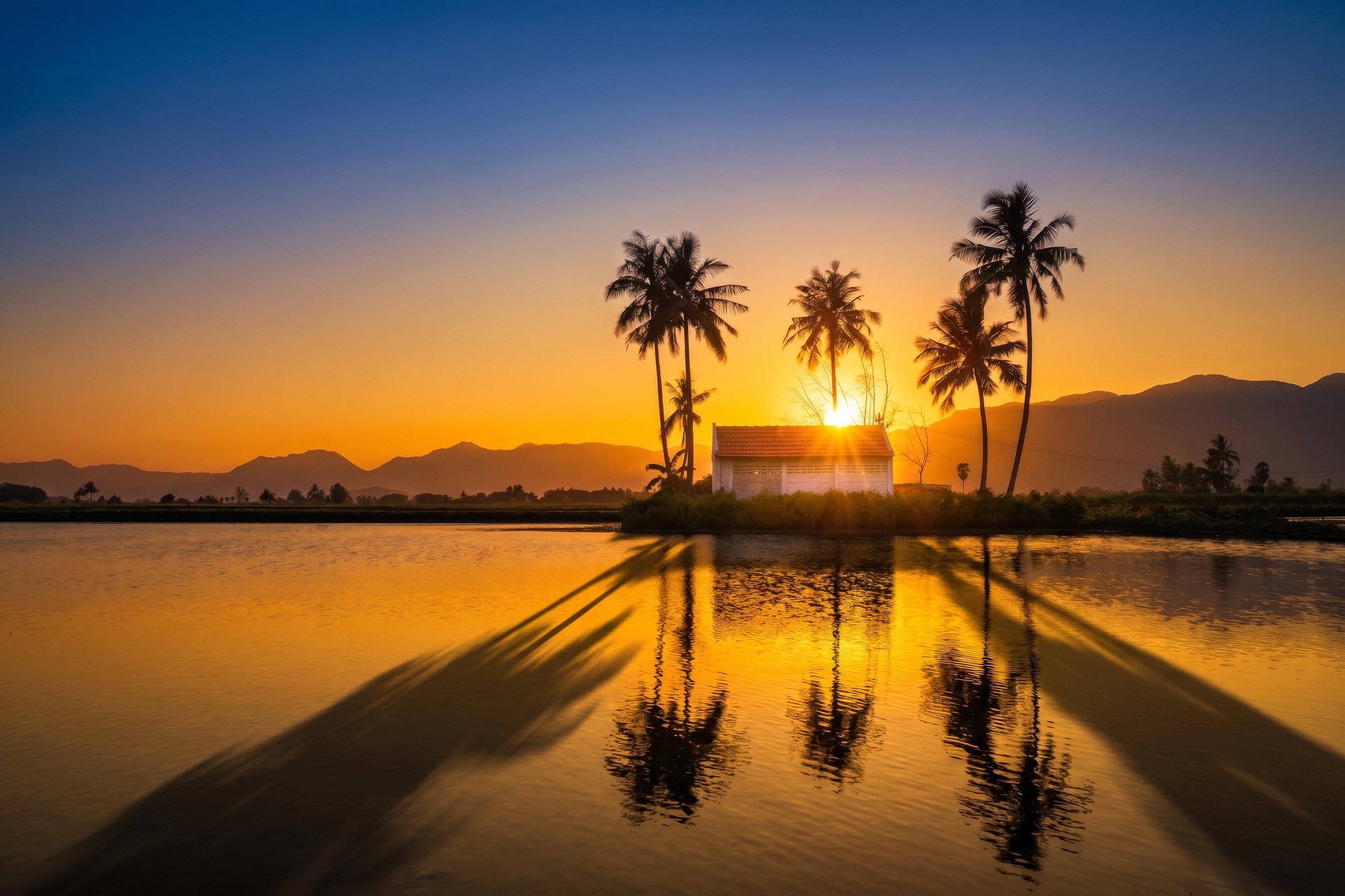 sunset