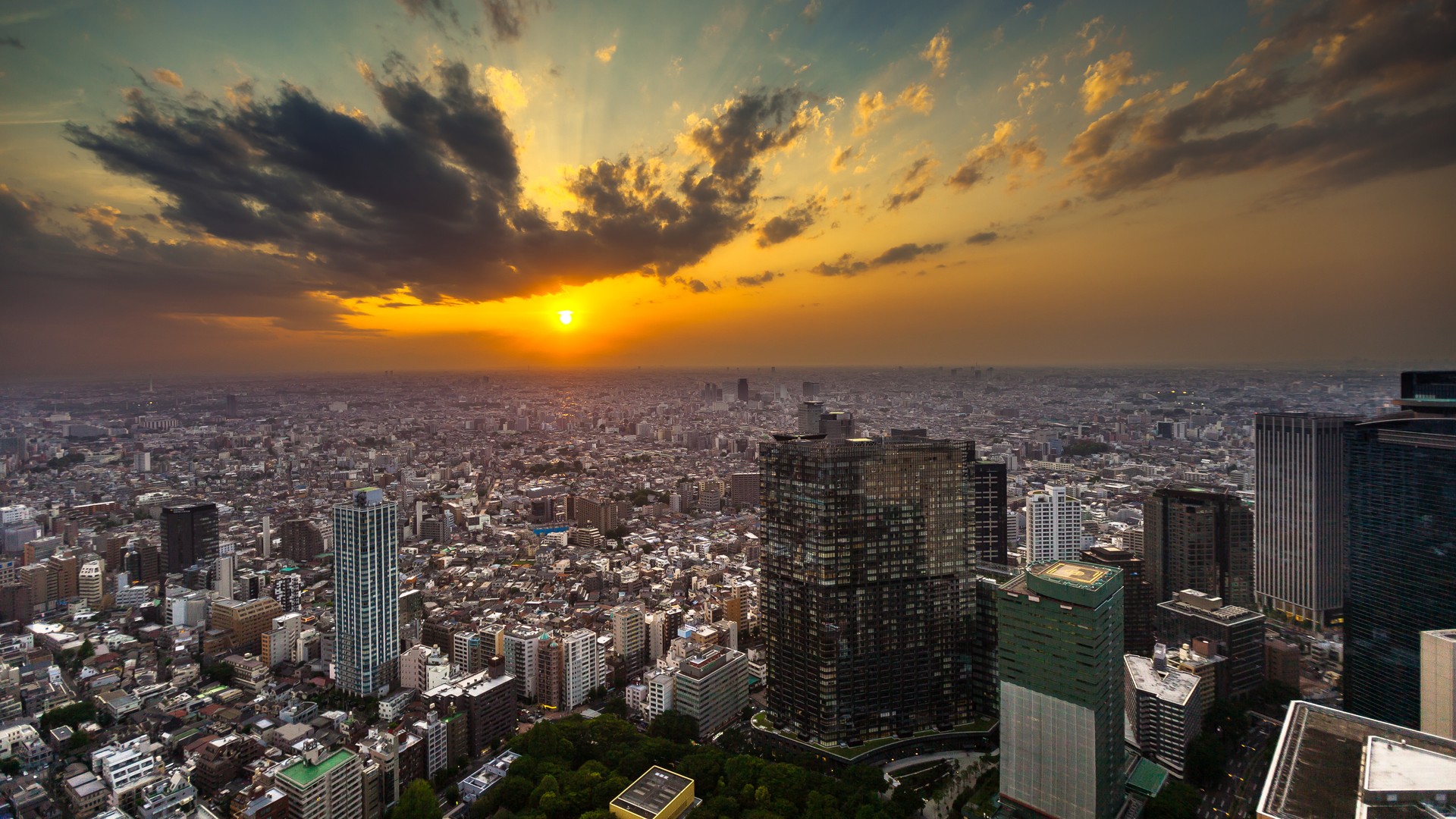 sunset