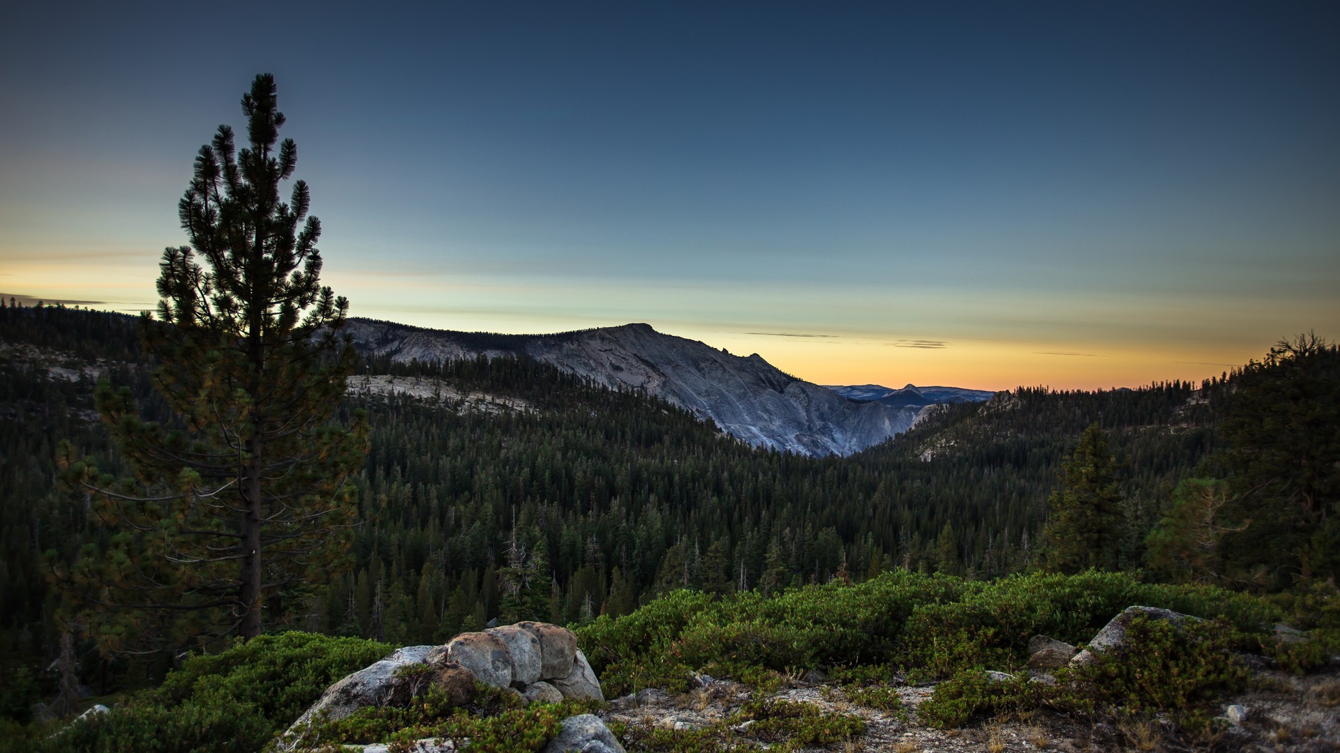 sunrise